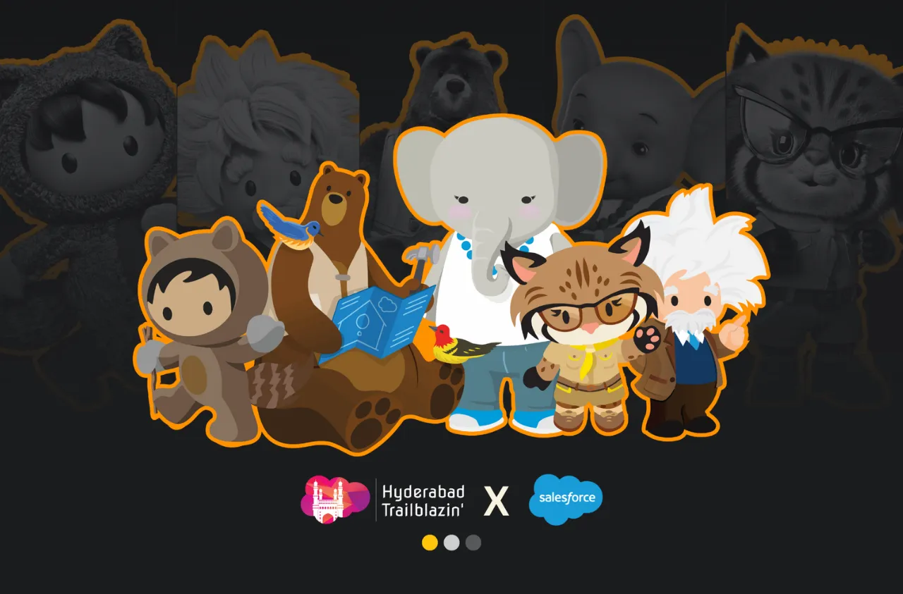 Project Preview Image